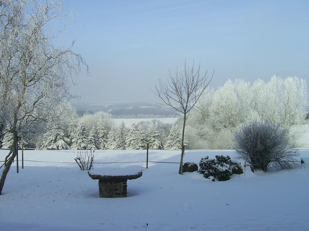 Haus Maria Daire Olmscheid Oda fotoğraf