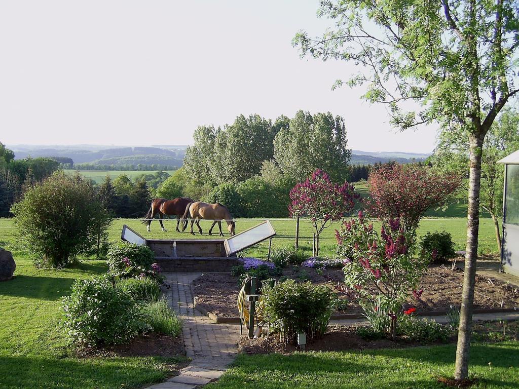Haus Maria Daire Olmscheid Oda fotoğraf
